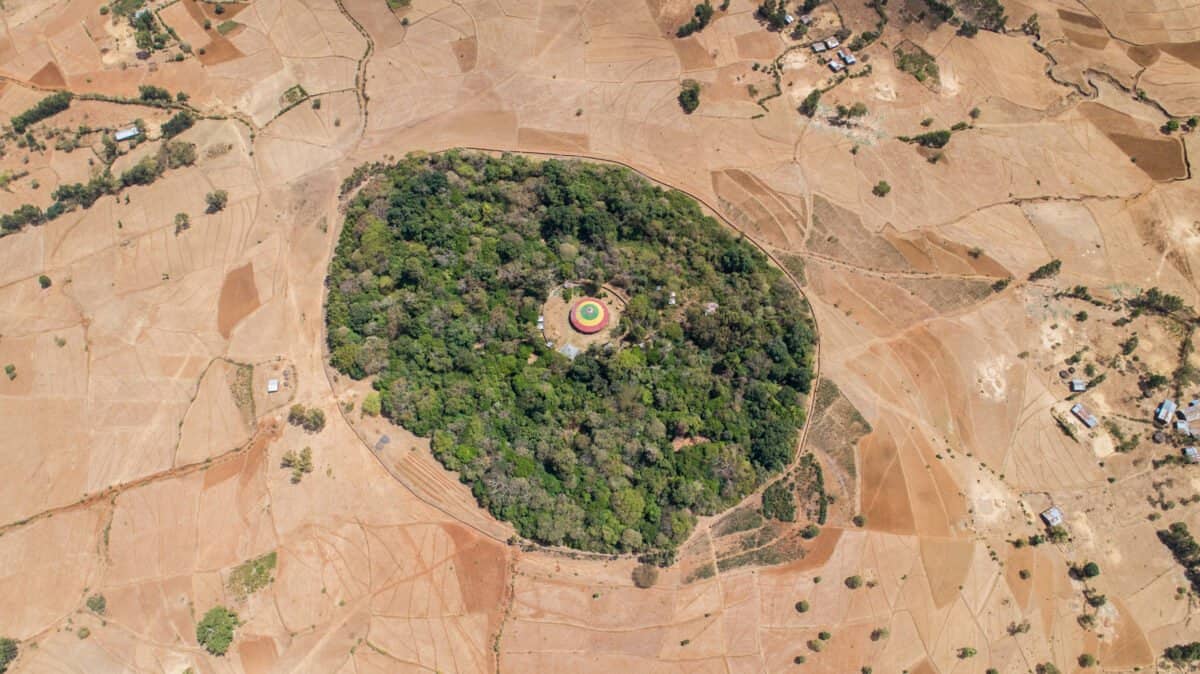 Church Forest Ethiopia 2-1200x674
